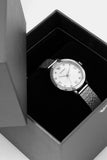Emporio Armani Cleo Silver Dial Silver Mesh Strap Watch for Women - AR11584