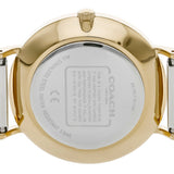 Coach Perry Silver Dial Silver Mesh Bracelet Watch for Women - 14503387