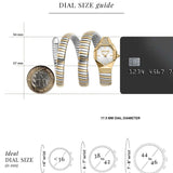 Just Cavalli Ambra Silver Dial Two Tone Steel Strap Watch for Women - JC1L370M0055