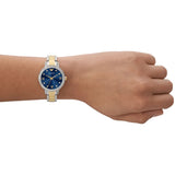 Emporio Armani Cleo Blue Dial Two Tone Steel Strap Watch for Women - AR11576