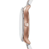 Emporio Armani Classic Silver Dial Two Tone Steel Strap Watch For Men - AR1839