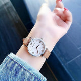 Emporio Armani Gianni T-Bar White Dial Brown Leather Strap Watch for Women - AR1988
