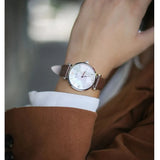 Emporio Armani Gianni T-Bar White Dial Brown Leather Strap Watch for Women - AR1988