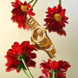 D1 Milano Ultra Thin Zephyr Gold Dial Gold Steel Strap Watch for Women - D1-UTBL31