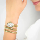 Just Cavalli Specchio Silver Dial Gold Steel Strap Watch for Women - JC1L323M0025