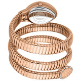 Just Cavalli Carezza Silver Dial Rose Gold Steel Strap Watch for Women - JC1L372M0045