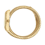 Just Cavalli Aurela Gold Dial Gold Steel Strap Watch for Women - JC1L374M0025