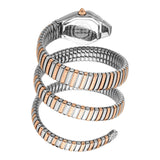 Just Cavalli Ambra Silver Dial Two Tone Steel Strap Watch for Women - JC1L370M0065