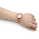 Daniel Wellington Petite Rose Gold Dial Rose Gold Mesh Bracelet Watch For Women - DW00100471