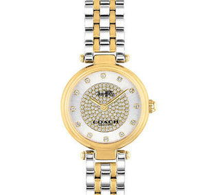 Coach Park Silver Dial Two Tone Steel Strap Watch for Women - 14503643